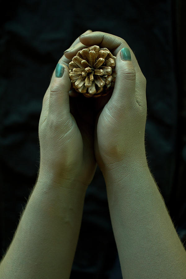 Dryads Hands Photograph by Alycia Christine