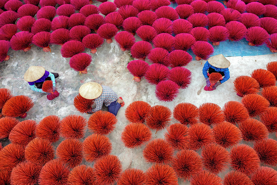 Drying Incense Photograph by Khanh Bui Phu