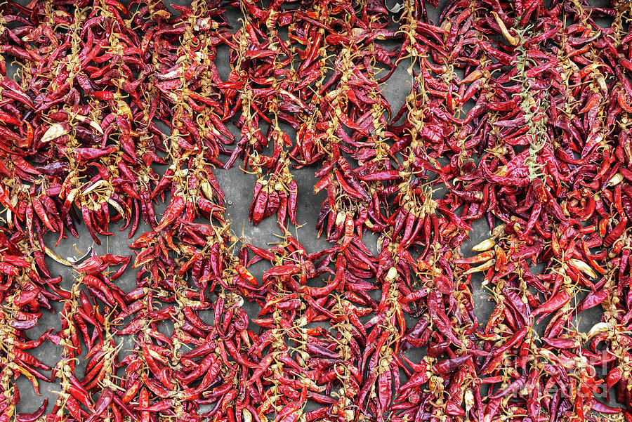 Drying paprika Photograph by Delphimages Photo Creations