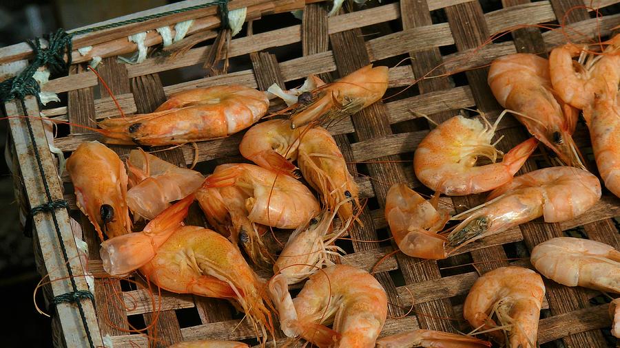 Drying the shrimps  Photograph by Robert Bociaga