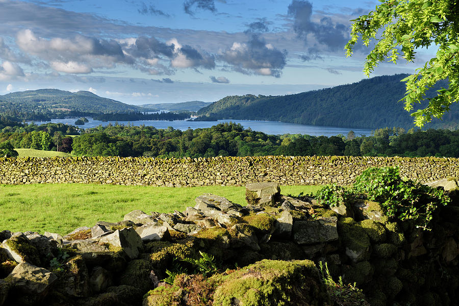 Drystone fences in morning light near Troutbeck overlooking Wind Photograph by Reimar Gaertner