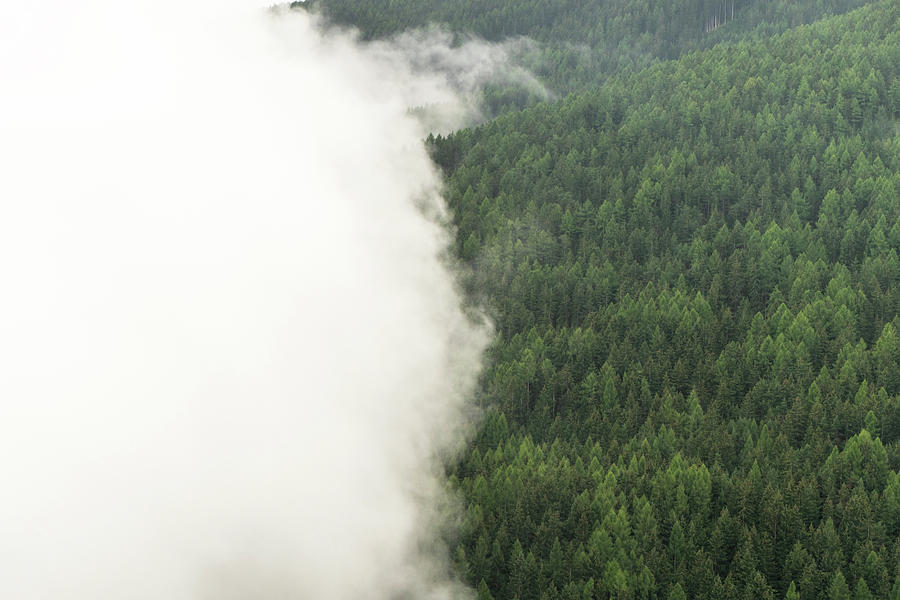 Mountain Photograph - DSC08265 - Forest Cloud by Marco Missiaja