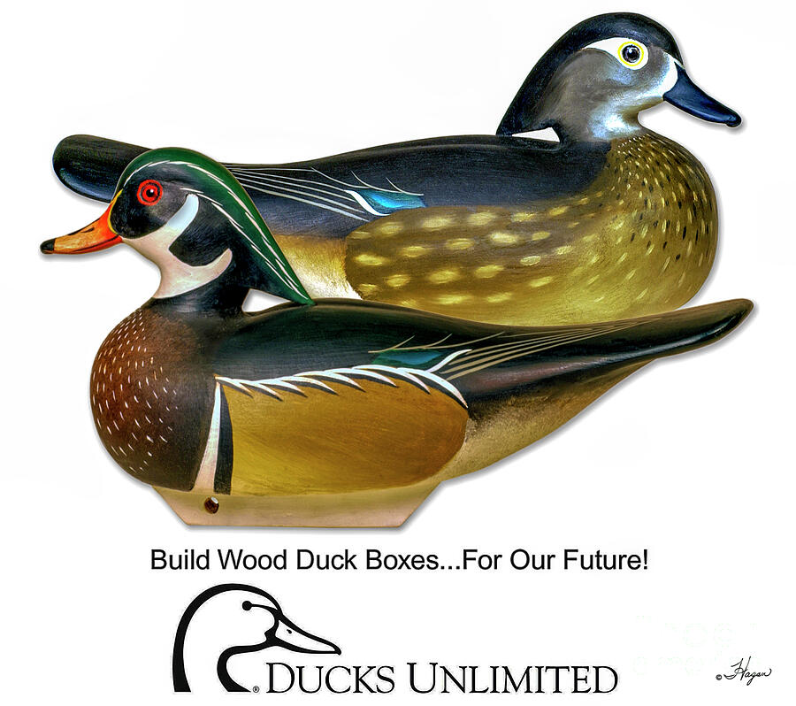 DU Build Wood Ducks Boxes Photograph by David Joan Hagan Fine Art America