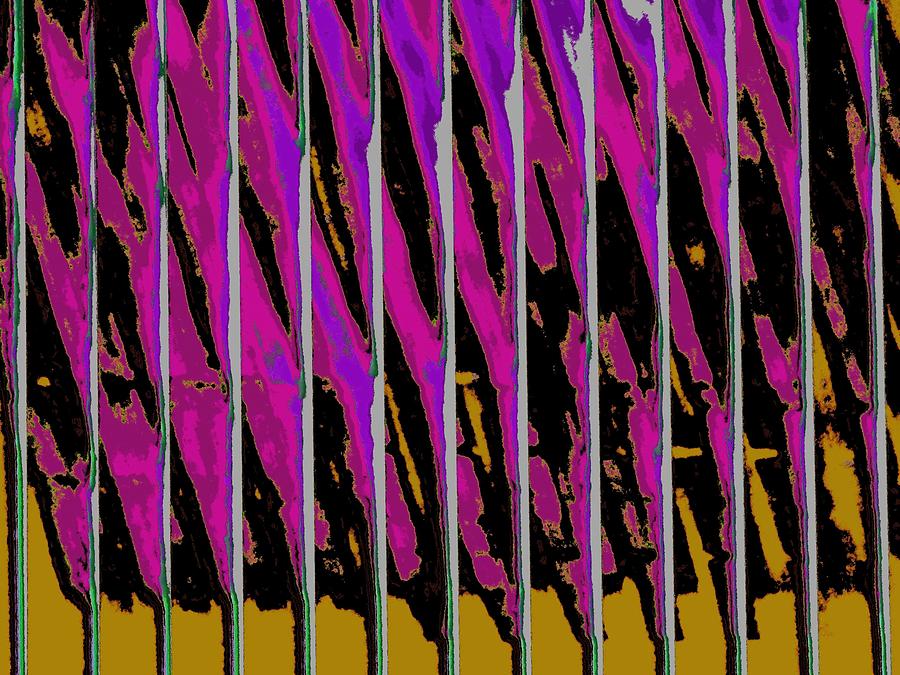 Dual Curtain Digital Art by T Oliver