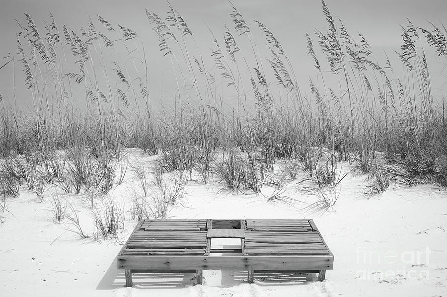 Dual Wooden Tanning Beds on White Sand Dune Destin Florida Black and White Digital Art Photograph by Shawn OBrien