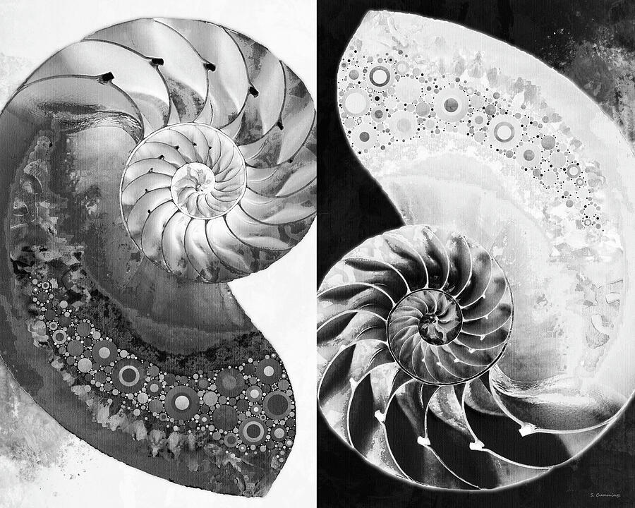 Duality Nautilus Shell Art Painting by Sharon Cummings Duality Nautilus Shell Art Painting by Sharon Cummings