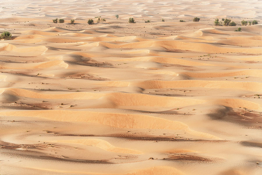Dubai UAE - Dunes from the Sky Photograph by Philippe HUGONNARD
