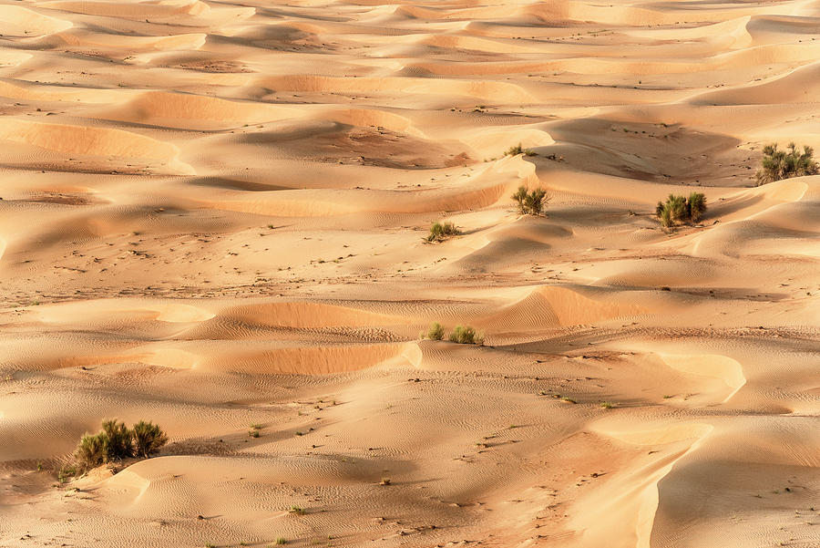 Dubai UAE - Sand Dunes from the Sky Photograph by Philippe HUGONNARD