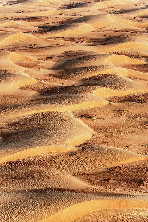 Dubai UAE - Sand Dunes Sunrise Photograph by Philippe HUGONNARD
