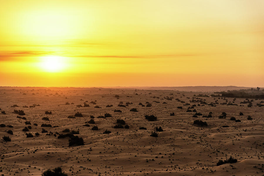 Dubai UAE - Sunset Desert Photograph by Philippe HUGONNARD