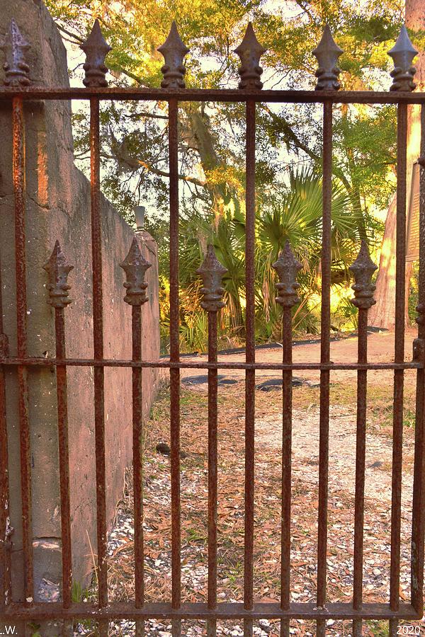 DuBignon Cemetery Gate Jekyll Island Georgia  2 Photograph by Lisa Wooten