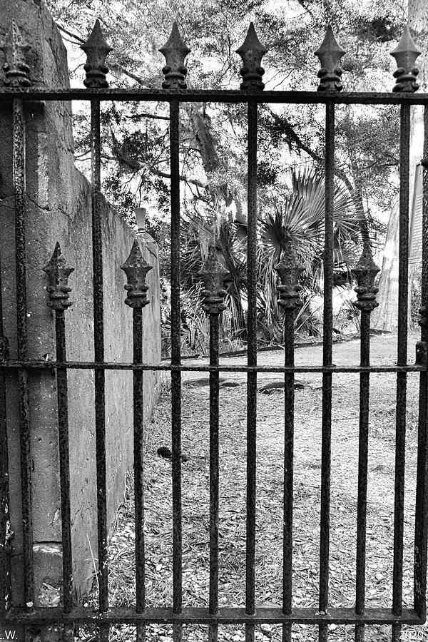 DuBignon Cemetery Gate Jekyll Island Georgia  Black And White 2 Photograph by Lisa Wooten