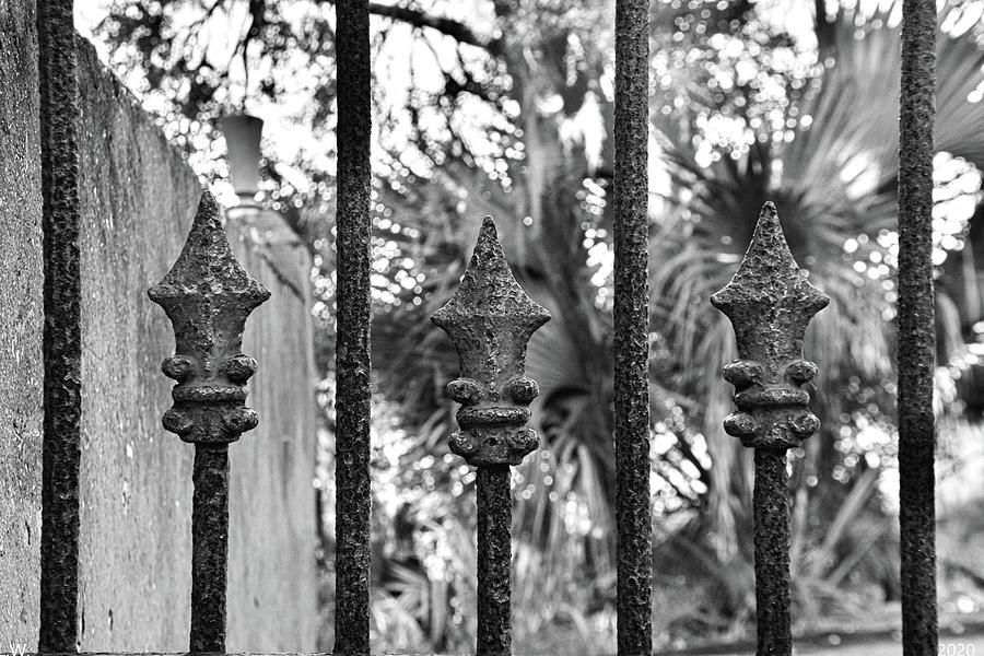 DuBignon Cemetery Gate Jekyll Island Georgia Black And White Photograph by Lisa Wooten