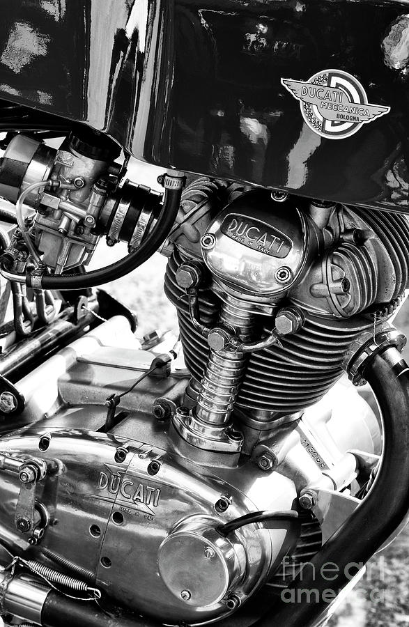 Ducati 250 Single Monochrome Photograph by Tim Gainey