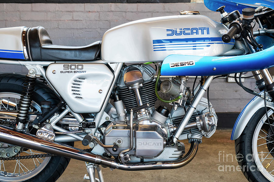 Ducati 900SS Photograph by Tim Gainey
