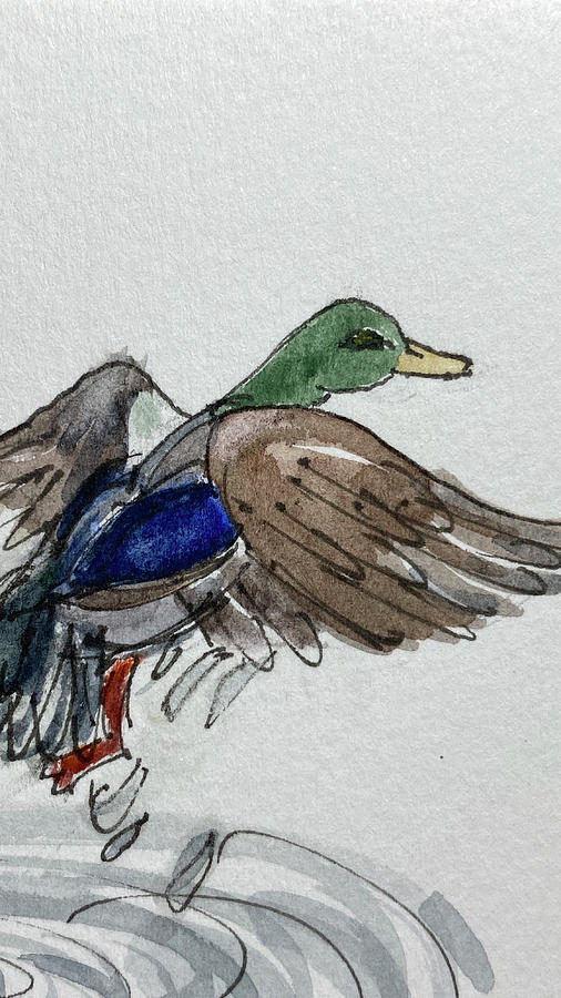 Duck 16x9 Painting by Barbara Wirth
