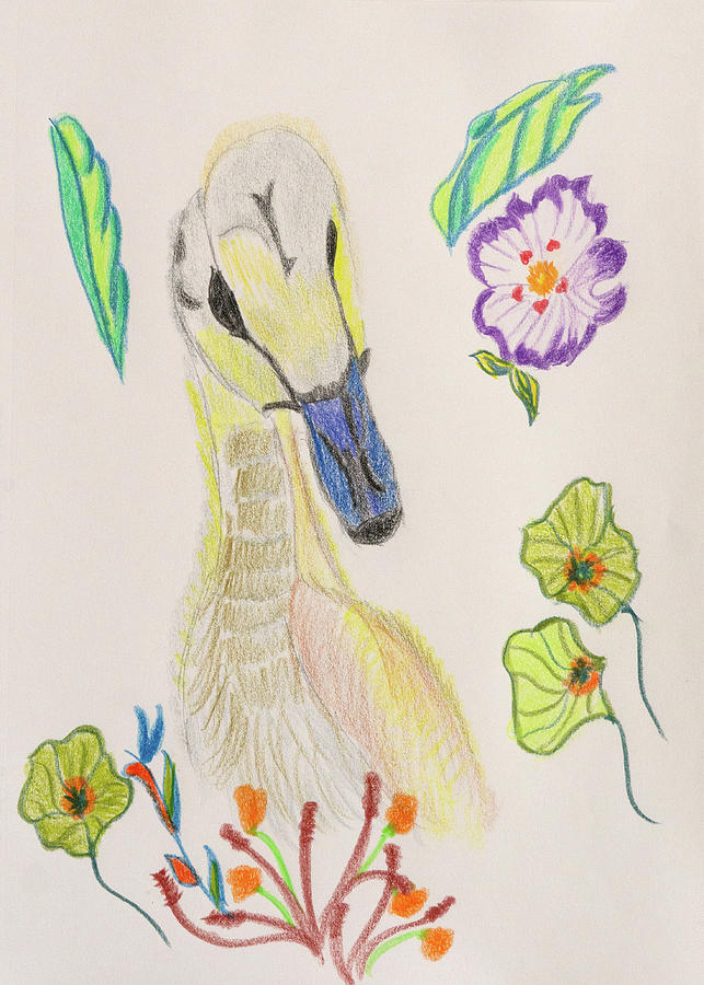 Just Ducky Drawing by Meryl Goudey