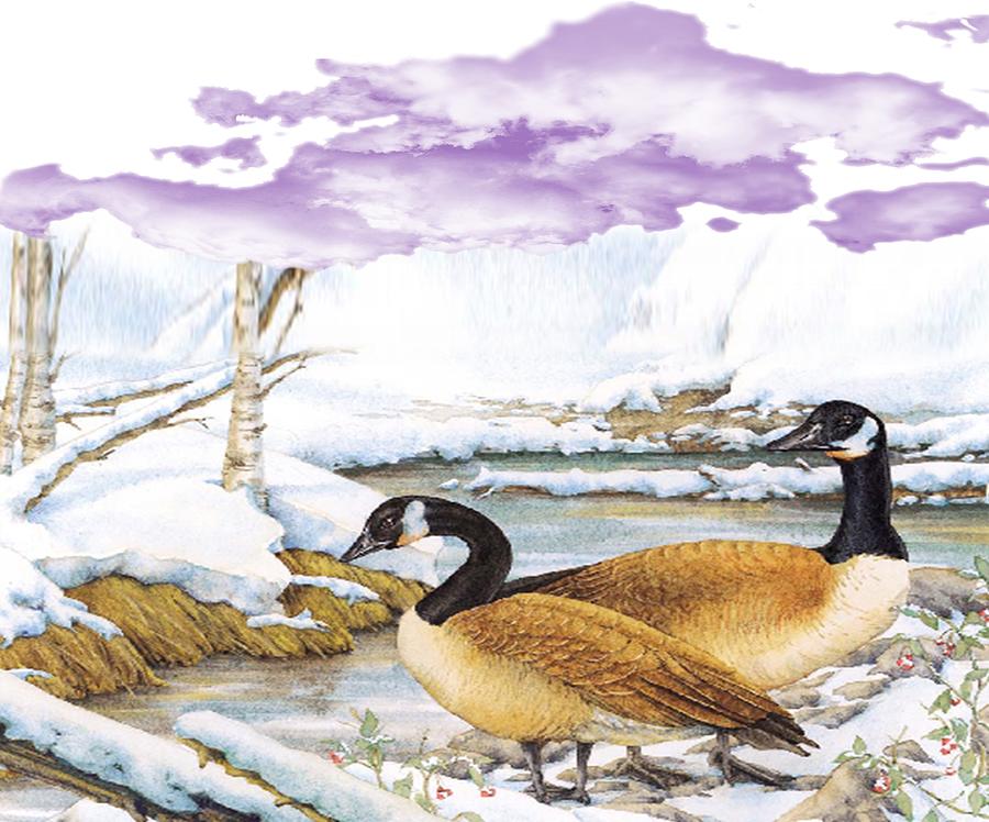 Bird Painting - Winter at the Lake by Belinda Threeths