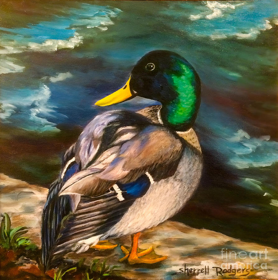Duck Duck Mallard Painting by Sherrell Rodgers