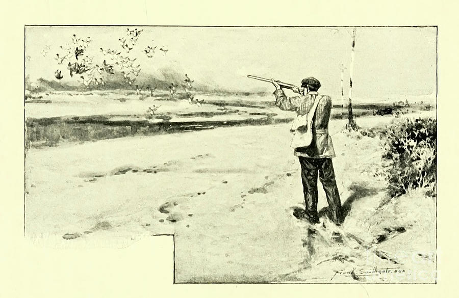 Duck Hunting 1910 K3 Drawing