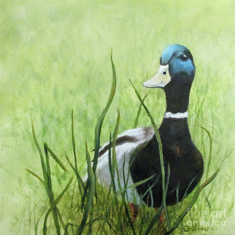 Duck in Grass Painting by Roseann Gilmore