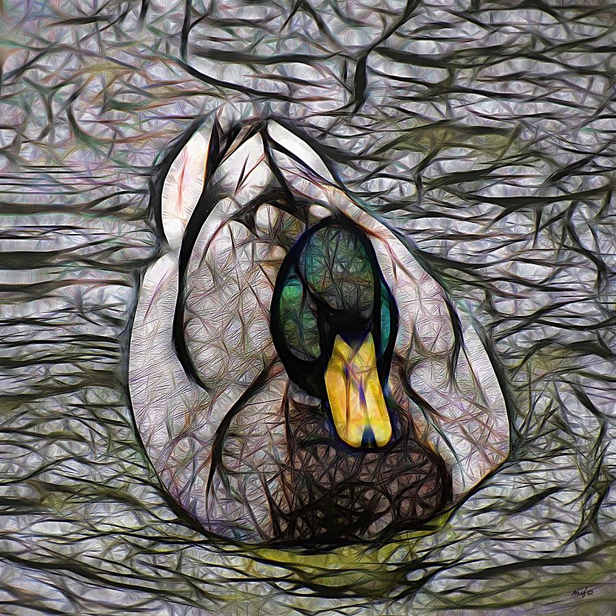 Duck in the River Mixed Media by Maciek Froncisz
