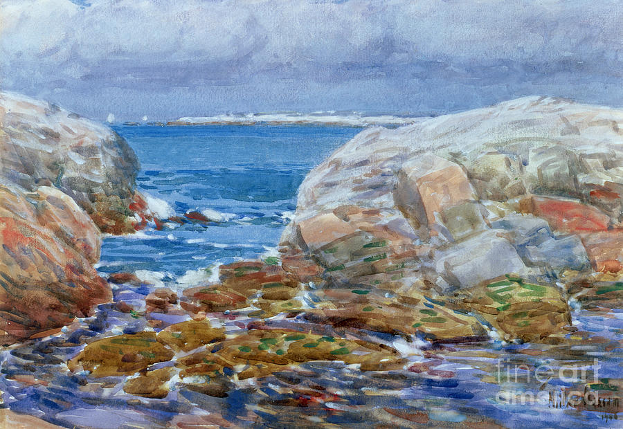 Duck Island Painting by Childe Hassam