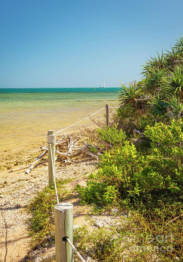 Duck Island Walk Photograph by THP Creative - Pixels