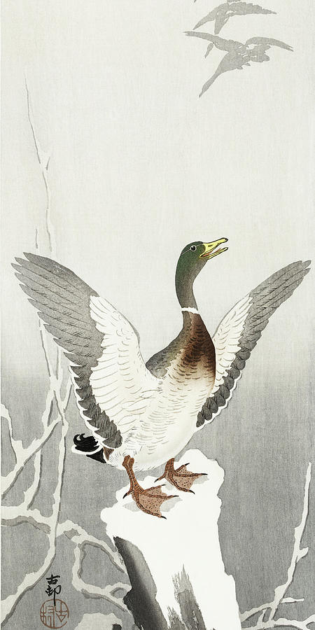 Ohara Koson Painting - Duck on snowy tree stump by Ohara Koson