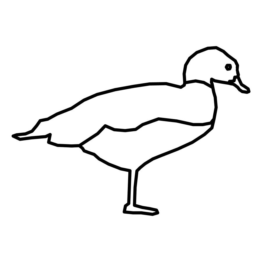 duck outline drawing