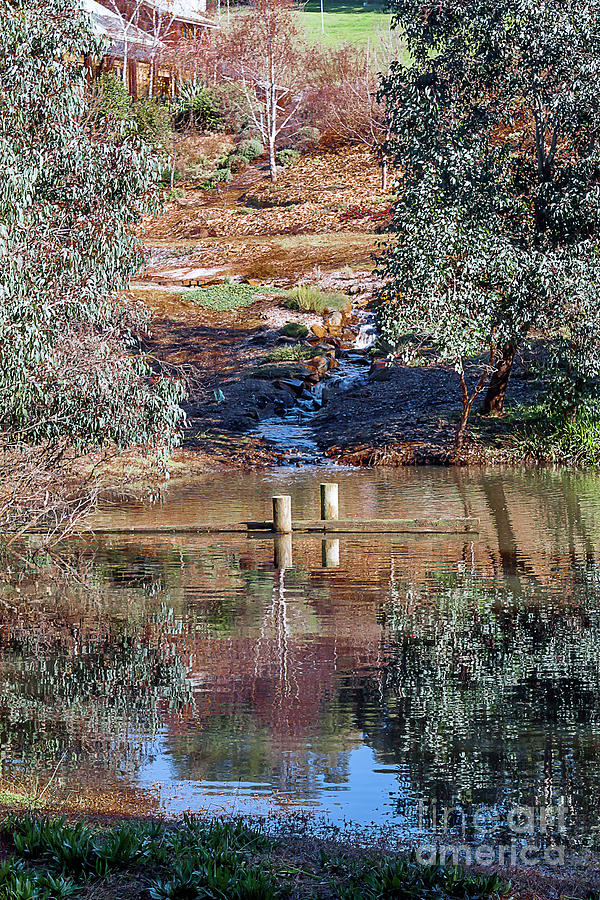 Duck Pond, Farrell Street, Bridgetown, Western Australia Photograph by Elaine Teague