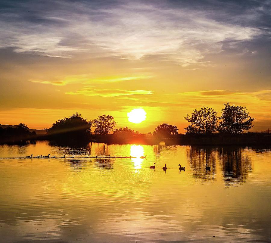 Duck Pond Sunset Photograph by Stephanie Wilson - Fine Art America