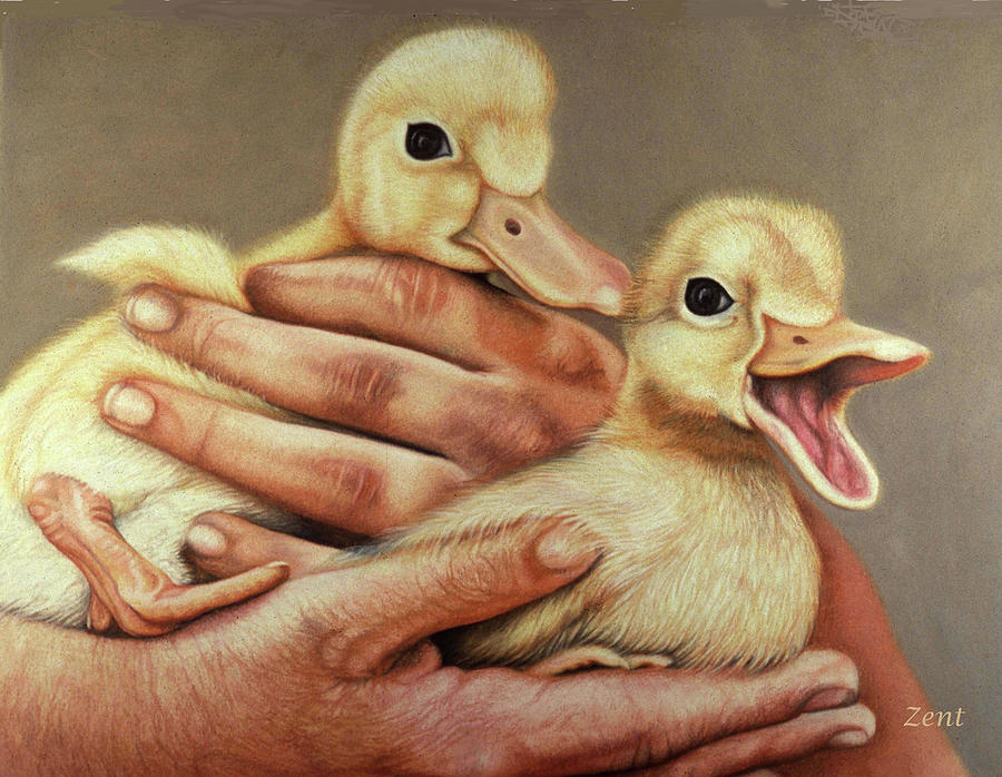 Ducklings In Hands Pastel by June Pauline Zent