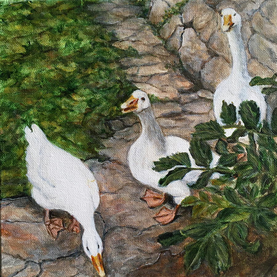 Ducks at Pognana Lario Painting by Bonnie Peacher