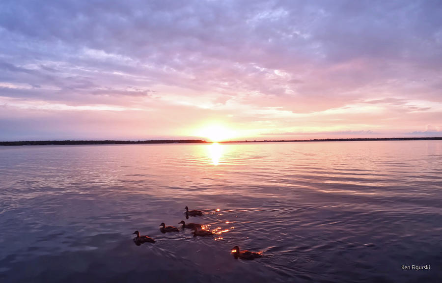 Ducks At Sunrise Photograph by Ken Figurski