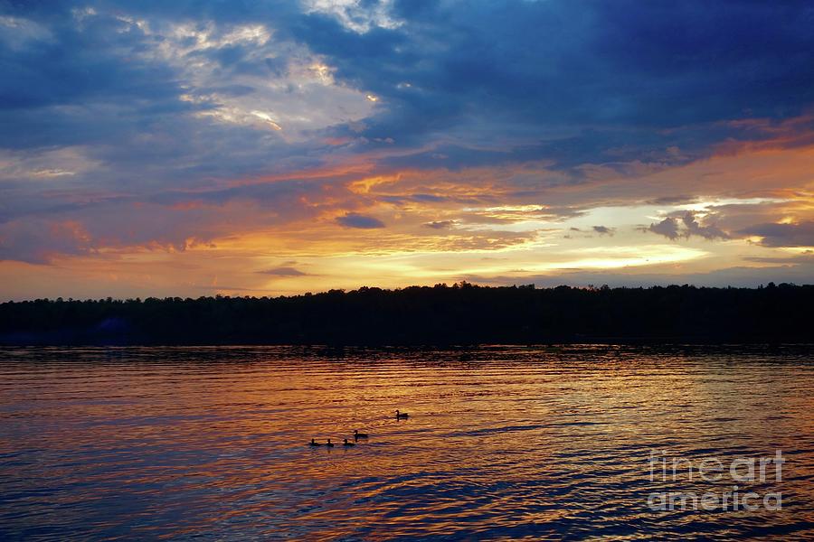 Ducks at Sunset Photograph by Sandra Updyke