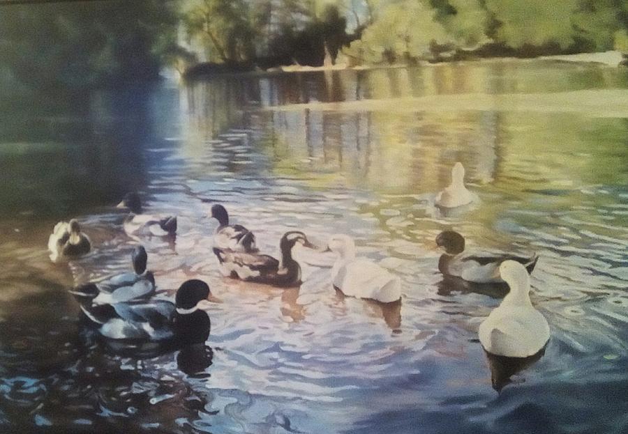 Ducks On Lake Painting By Ivo Klammer