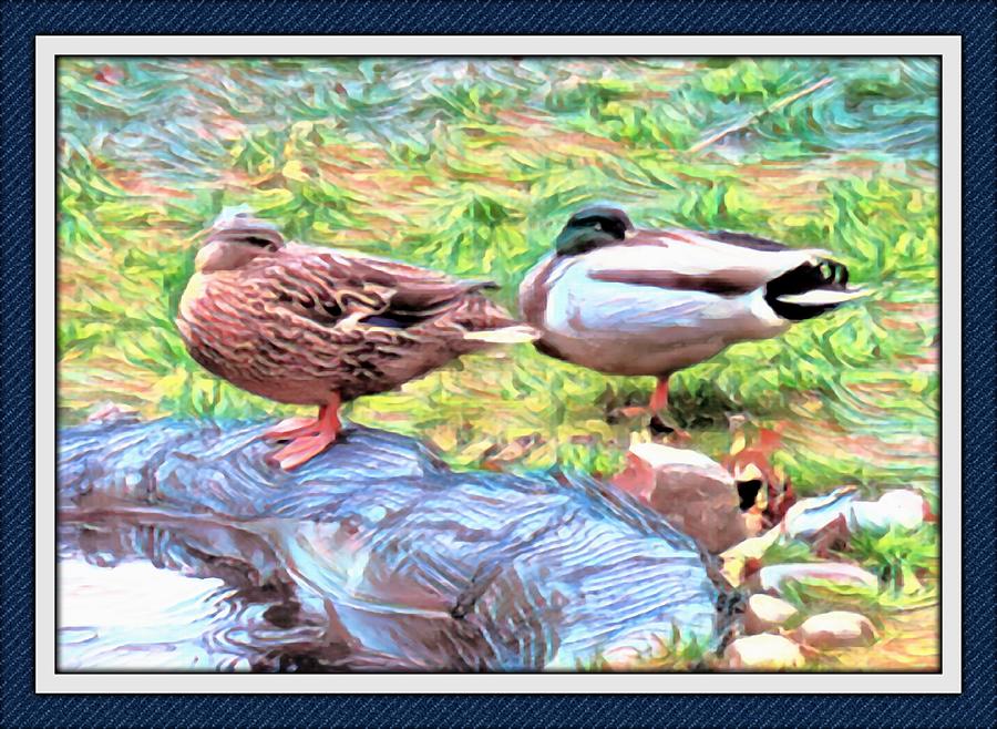 Ducks on Rainy Day Digital Art by Nick Delis - Pixels