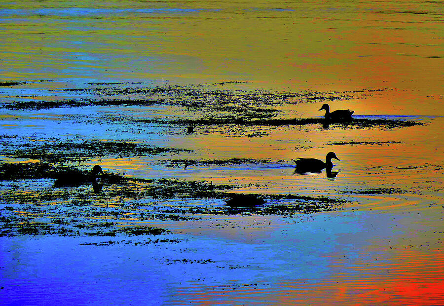 Ducks on the Delaware Abstract Photograph by Linda Stern Ducks on the Delaware Abstract Photograph by Linda Stern