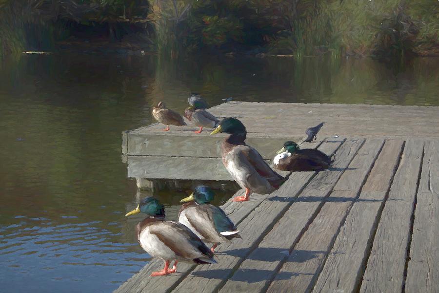 Ducks on the Dock Photograph by Alison Frank