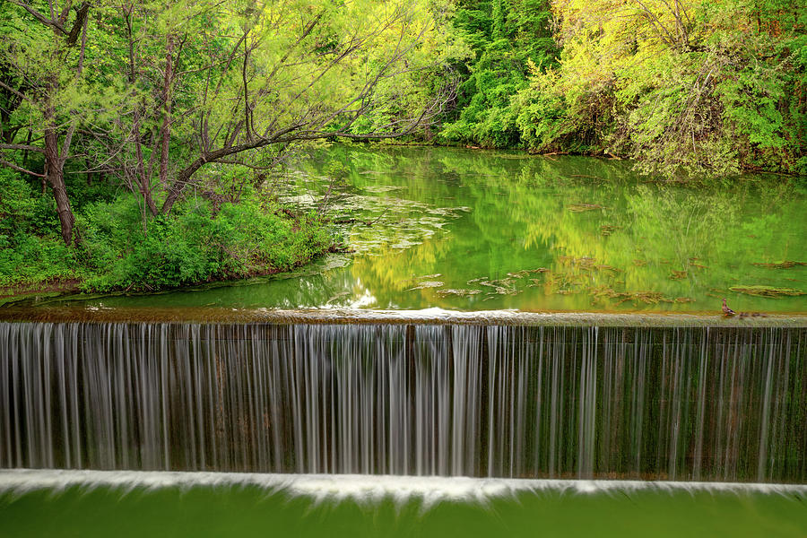 Ducks On The Spillway At Lake Fayetteville Photograph