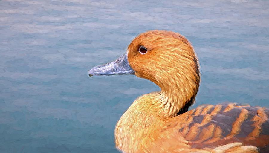 Ducky Mixed Media by Steve DaPonte