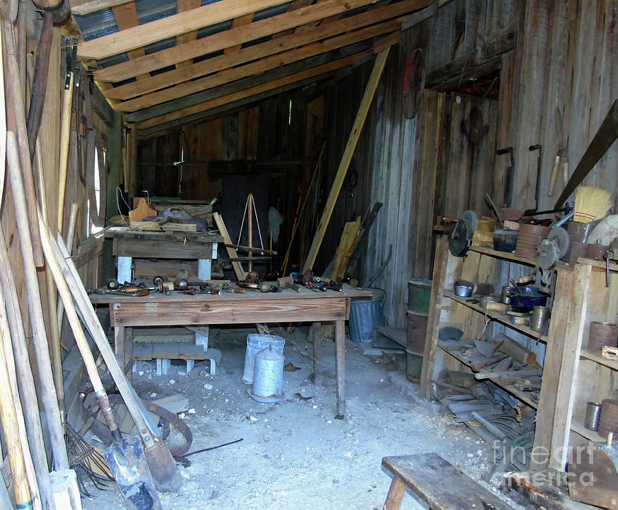 Dudley Farm Tool Shed Photograph by D Hackett