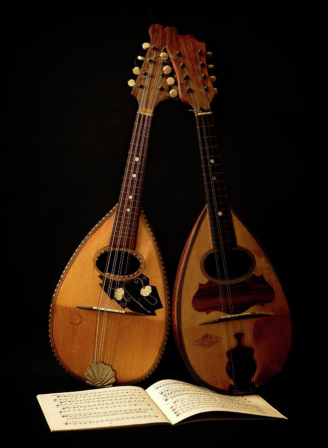 Dueling Mandolins Photograph by Wayne Sherriff
