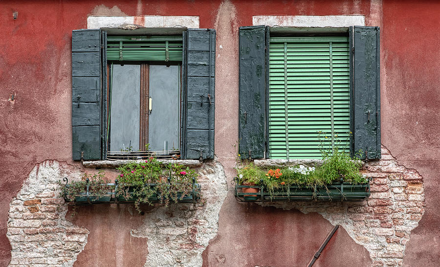 Dueling Rustic Windows of Venice Photograph by David Letts
