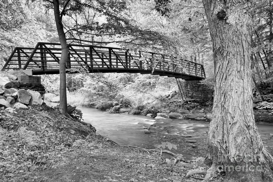 Duff Park Creek Bridge Black And White Photograph by Adam Jewell