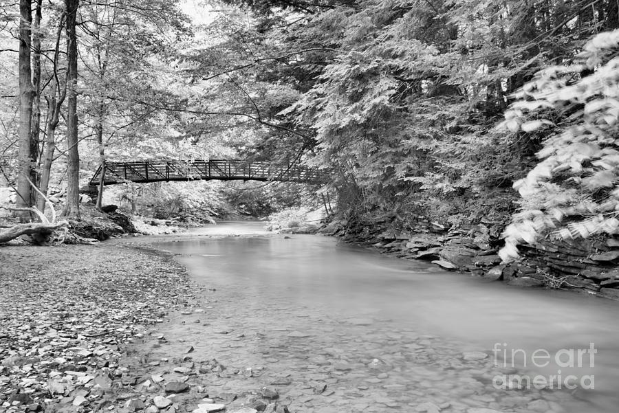 Duff Park Stream Under The Bridge Black And White Photograph by Adam Jewell