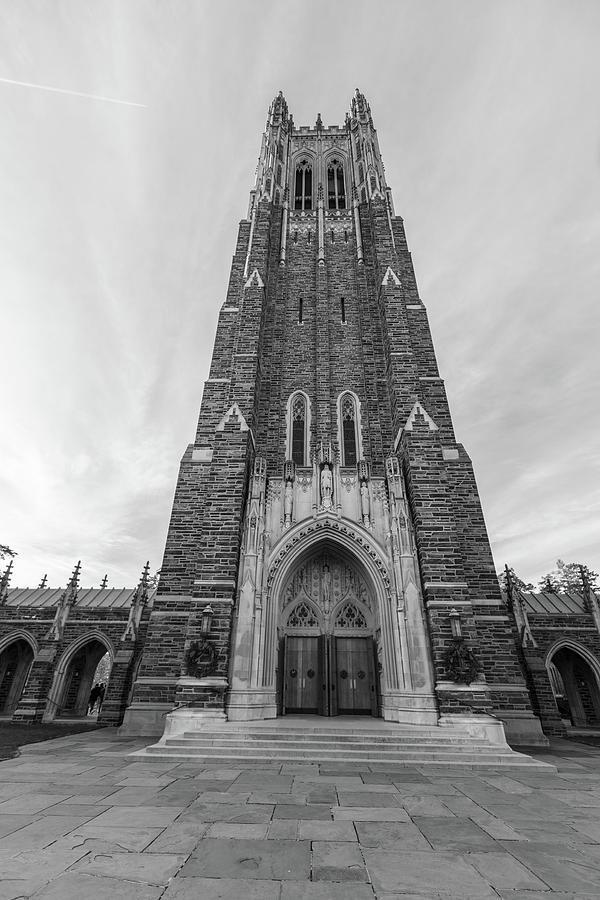 Duke Looking up at the Chapel  Photograph by John McGraw