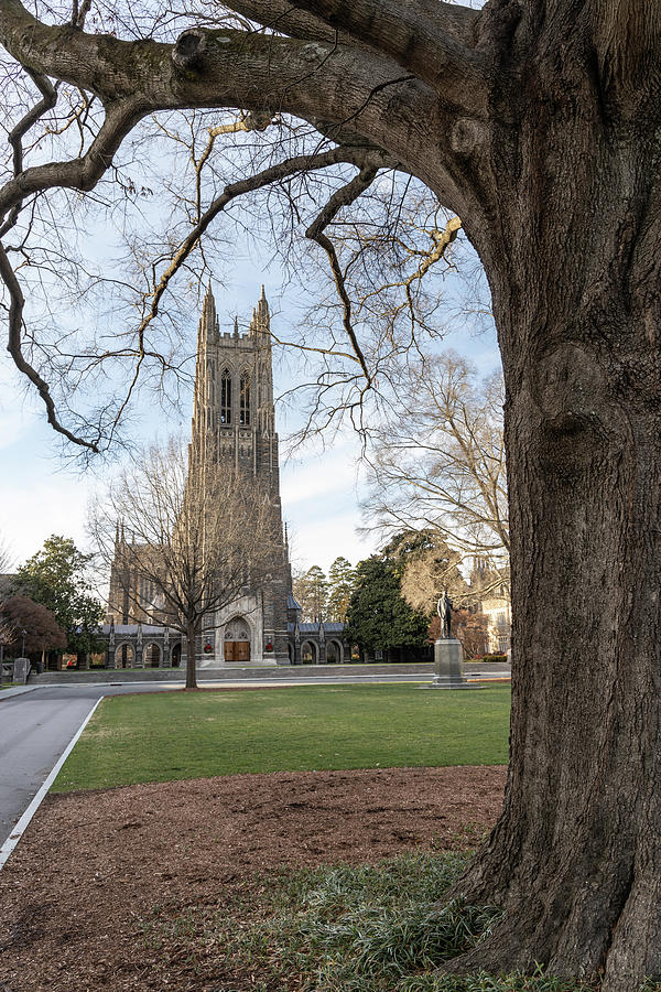 Duke University Chapel and Tree  Photograph by John McGraw