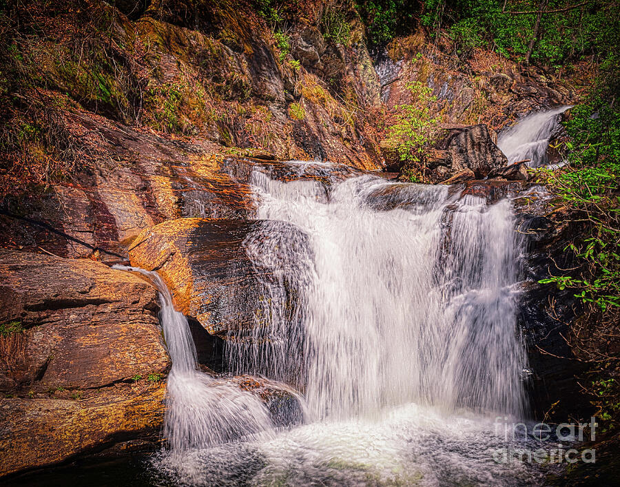 Dukes Creek Falls Photograph by Nick Zelinsky Jr - Fine Art America